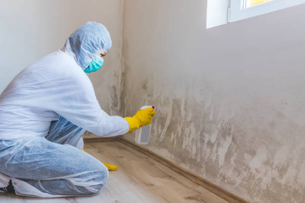 Licensed Mold Inspection service in Columbus, NC - WQB Mold Removal