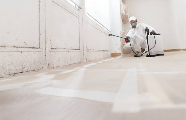 24/7 Emergency Mold Inspection experts in Columbus, NC