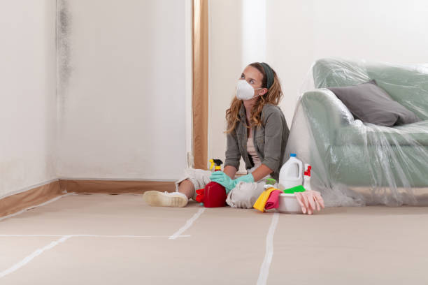 Reliable Mold Inspection contractor in Columbus, NC by WQB Mold Removal